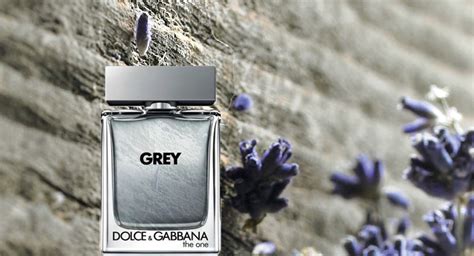 dolce gabbana grey fragrance|dolce gabbana fragrantica.